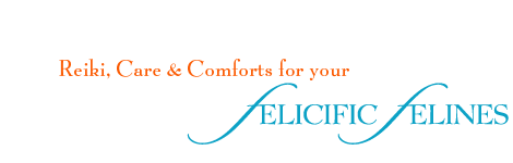 Companion and Concierge Services for Your Felicific Felines